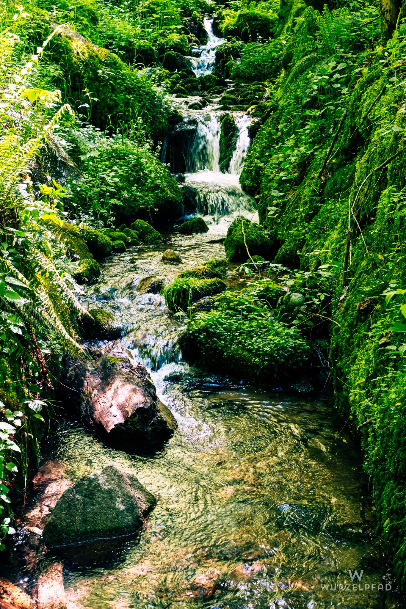 Munteres Bächlein am Wegesrand